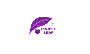 Save with Purple Leaf sitewide coupon codes, discount codes, promo codes, and voucher codes. Enjoy free shipping and special sign-up offers on all orders!