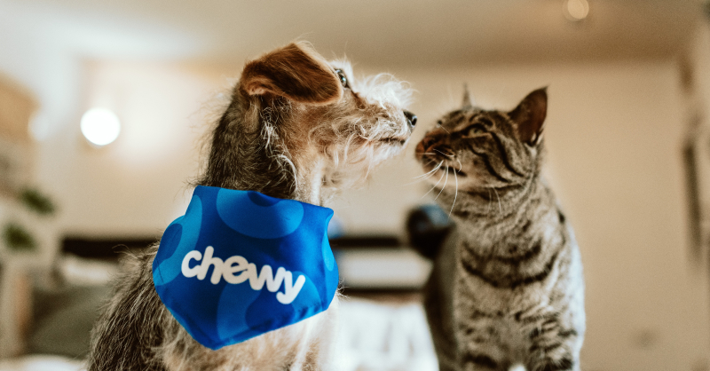 Chewy brand review logo and pet products